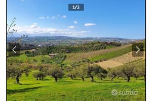 Terreno edificabile con annesso terreno agricolo