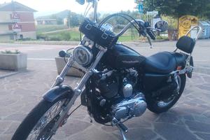 HARLEY DAVIDSON SPORTSTER XL1200C