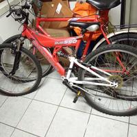Bicicletta