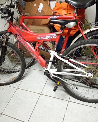 Bicicletta