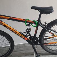 Bici MTB