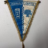 Gagliardetto calcio USM Montombraro 1929