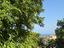 Immagine 16