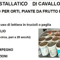 Stallatico di cavallo