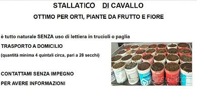 Stallatico di cavallo