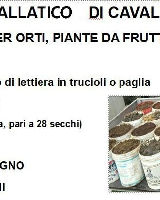 Stallatico di cavallo