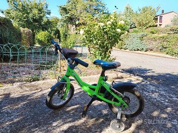 Bici Bimbo Lion 12'