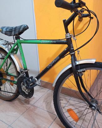 Mountain bike 