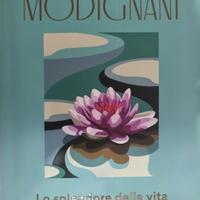 libro sveva casati modignani 