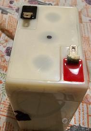 Carica batterie a Piombo