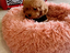 Immagine 16