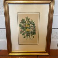 Cromolitografie floreali seconda metà dell'800