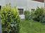 Immagine 18
