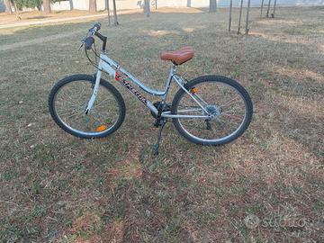 bicicletta donna