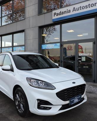 Ford Kuga 2.0 EcoBlue Hybrid 150 CV 2WD ST-Line X