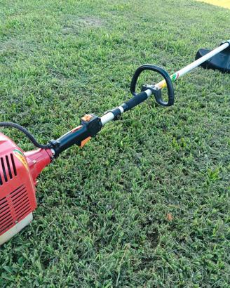 Decespugliatore Einhell 43 cc