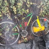 Montebike 29 