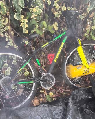 Montebike 29 