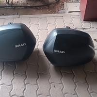 valige shad 36lt
