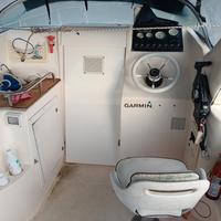 saver manta possibilità di skambio 
