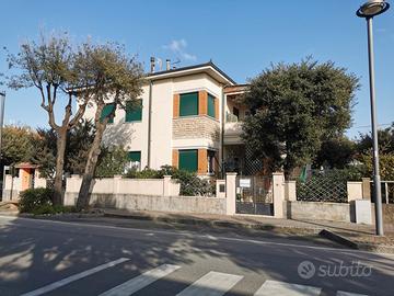 Zona conchiglia libero dal 1-15 Agosto
