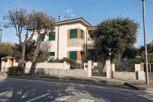 Zona conchiglia libero dal 1-15 Agosto