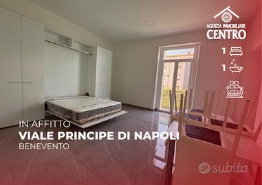 Ampio monolocale al Viale Principe di Napoli