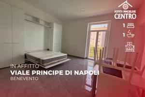 Ampio monolocale al Viale Principe di Napoli
