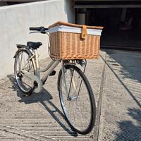 bicicletta da donna.