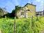 Immagine 9