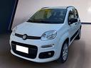 fiat-panda-0-9-t-air-t-natural-power-young-80cv