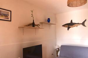 Grazioso bilo airport olbia mare