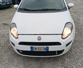 Fiat Punto 1.3 MJT II 75 CV 5 porte Easy