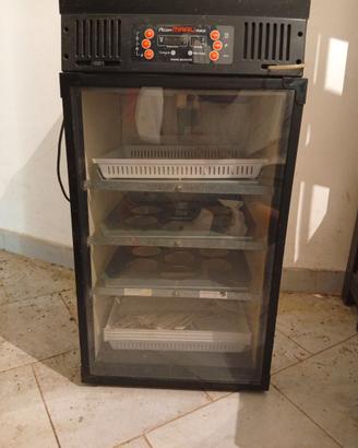 Incubatrice rcom