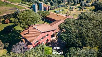 Tenuta agricola 50 ettari con casale e cantina