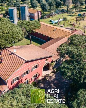 Tenuta agricola 50 ettari con casale e cantina