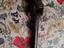Immagine 22