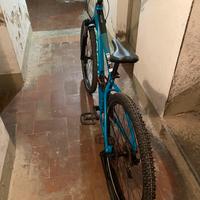Bici focus whistler mountain bike