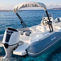 Sea 660 GT & Honda new 115 sport