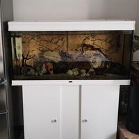 acquario aquatlantis