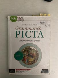 Grammatica picta lezione 1