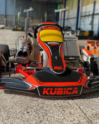 Kart Birel Art 125cc