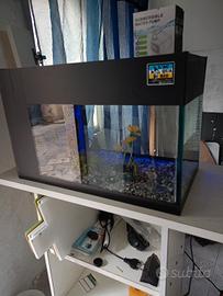 acquario 