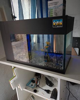 acquario 