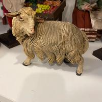Pecora