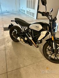 Ducati Scrambler Icon 800 - 2024