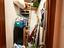 Immagine 16