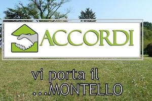 Rif.ZT19F_47| terreno agricolo montebelluna