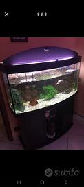 acquario juwel vision - 350 lt