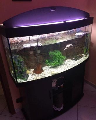 acquario juwel vision - 350 lt